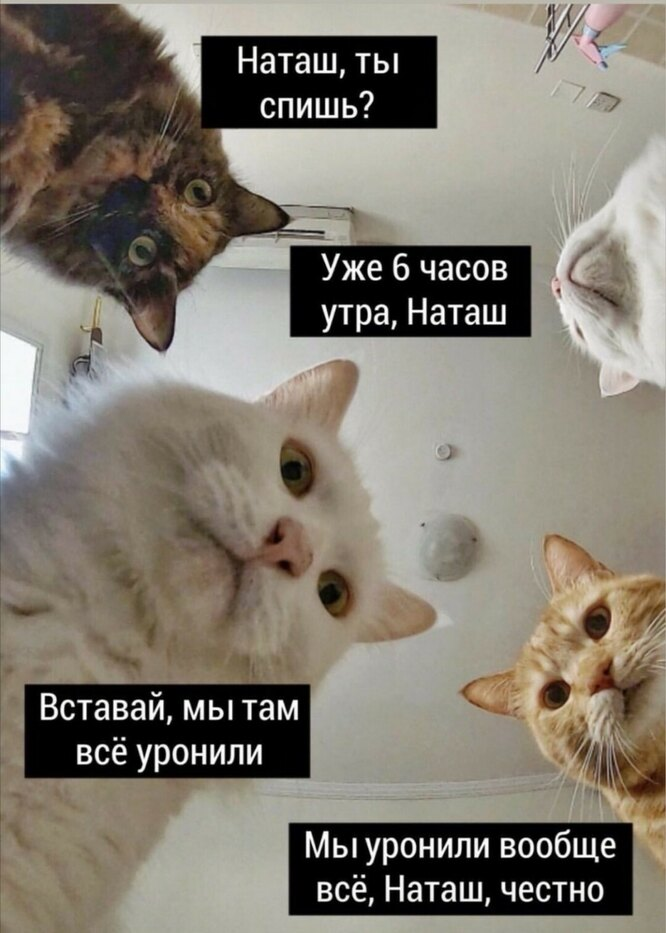 Наташа